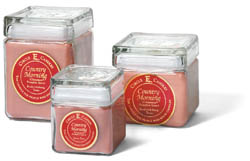 Cinnamon pumpkin spice with a burst of vanilla and nutmeg.