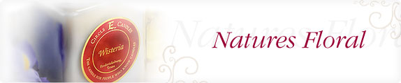 Natures Floral - A lovely fresh-picked bouquet.