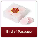 Bird of Paradise Candle Tarts - Bird of Paradise Candle Tarts