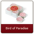Bird of Paradise Tealights - Bird of Paradise Tealights