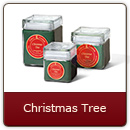 Christmas Tree - Tis always the season for the fragrance of a freshly-cut Scotch Pine.