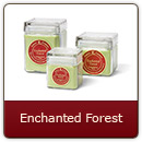 Enchanted Forest - Magical forest