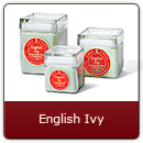 English Ivy - The enticing aroma of an English garden. A fantastic fragrance.