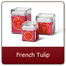 French Tulip - The dazzling spring fragrance of sweet French tulips.