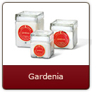 Gardenia - Fresh aroma of a floral garden.