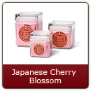 Japanese Cherry Blossom - Delicate Cherry Blossom
