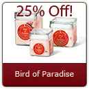 Bird of Paradise - A magical blend that defies description - an all time favorite.