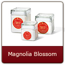 Magnolia Blossom - Nature's vibrant perfume.
