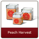Peach Harvest - A bumper crop of juicy peach fragrance fresh from the field.
