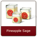 Pineapple Sage - Juicy island sweetness with a touch of herb.