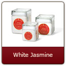 White Jasmine - An elegant true jasmine.