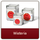 Wisteria - Experience this wildly-enchanting floral bouquet.