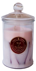 Triple Wick Cookie Jar