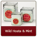 Wild Hosta & Mint - Perfect blend of hosta and mint.